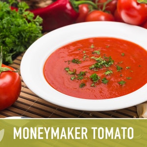 Moneymaker Tomato Seeds Heirloom Seeds, Indeterminate, Slicing Tomato, Sauce Tomato, High Yield, Heat Loving, Salsa Garden, Non-GMO image 3