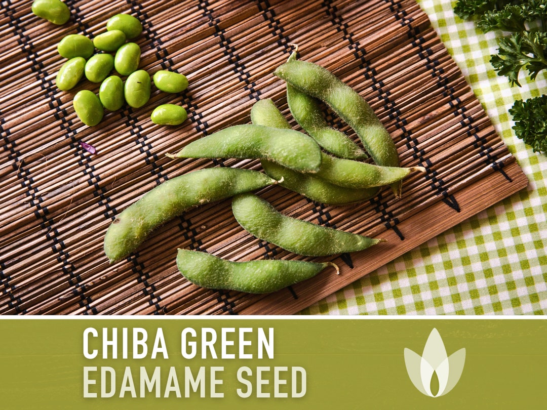 thumbnail image 2 of Edamame Bean, OP Heirloom (Glycine Max) Vegetable | Ubuy 2 of 13