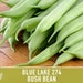 Blue Lake 274 Bush Bean Seeds Heirloom, Non-gmo, Open Pollinated ...