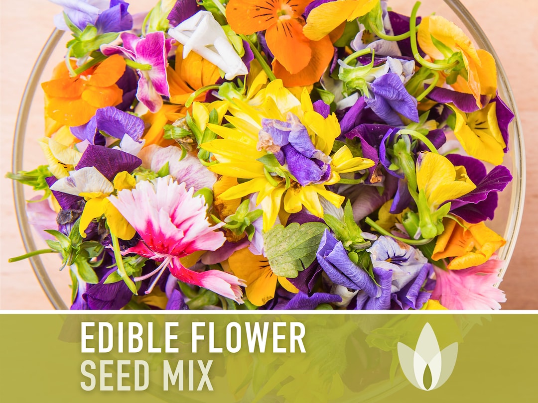 Edible Flower Heirloom Seed Mix Seed Packets, Flower Seeds, Herb Seeds, Non  GMO, Open Pollinated 