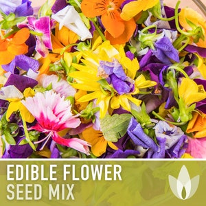 Edible Flower Heirloom Seed Mix - Seed Packets, Flower Seeds, Herb Seeds, Non GMO, Open Pollinated