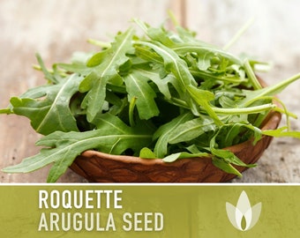 Arugula, Roquette Heirloom Seeds - Open Pollinated, Non-GMO