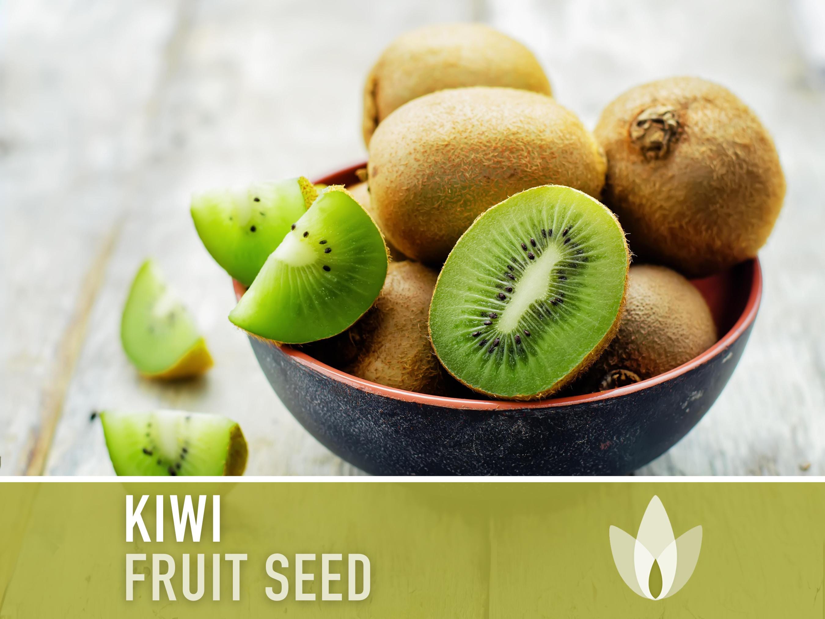 Kiwi Fruit Seeds - Heirloom Seeds, Chinese Gooseberry, Actinidia