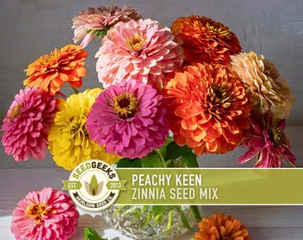 Peachy Keen Zinnia Seed | 100+ Seeds, Heirloom Cut Flower Mix, Pollinator Attracting, Zinnia elegans
