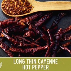 Cayenne Pepper Seeds - Long Thin Red Hot Peppers, Non-GMO image 9