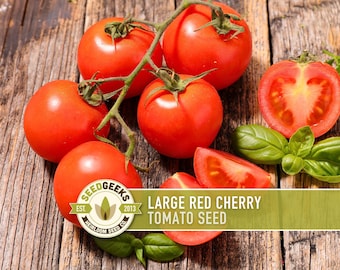 Large Red Cherry Tomato Heirloom Seeds