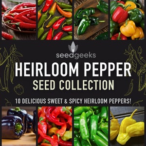 Heirloom Pepper Seed Collection - 10 Delicious Hot & Sweet Heirloom Peppers, Stocking Stuffer, Gift For Gardener, Gardening Gift, Non-GMO