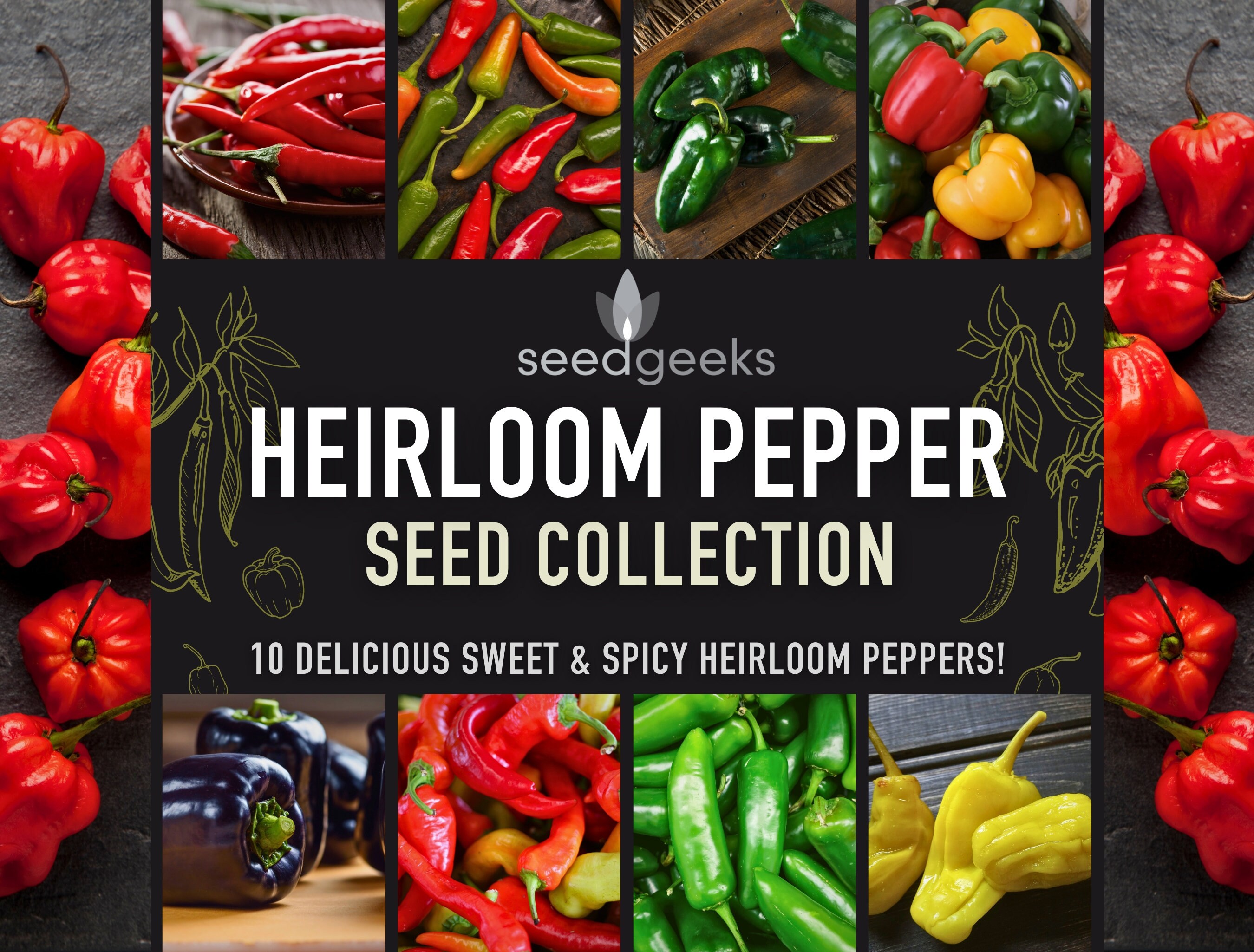 thumbnail image 2 of TexasHomeGrownSeeds Heirloom Hatch Chile Pepper Seed Combo - 200 Seeds Total (4 Varieties, 50 Seeds Each) 2 of 6