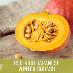 Red Kuri Squash Seeds – Heirloom Japanese Winter Squash, Non-gmo - Etsy