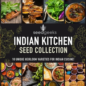 Indian Kitchen - Heirloom Seed Gift Set, with 10 Individual Seed Packets of Non-GMO, Open Pollinated, Untreated Heirloom Seeds