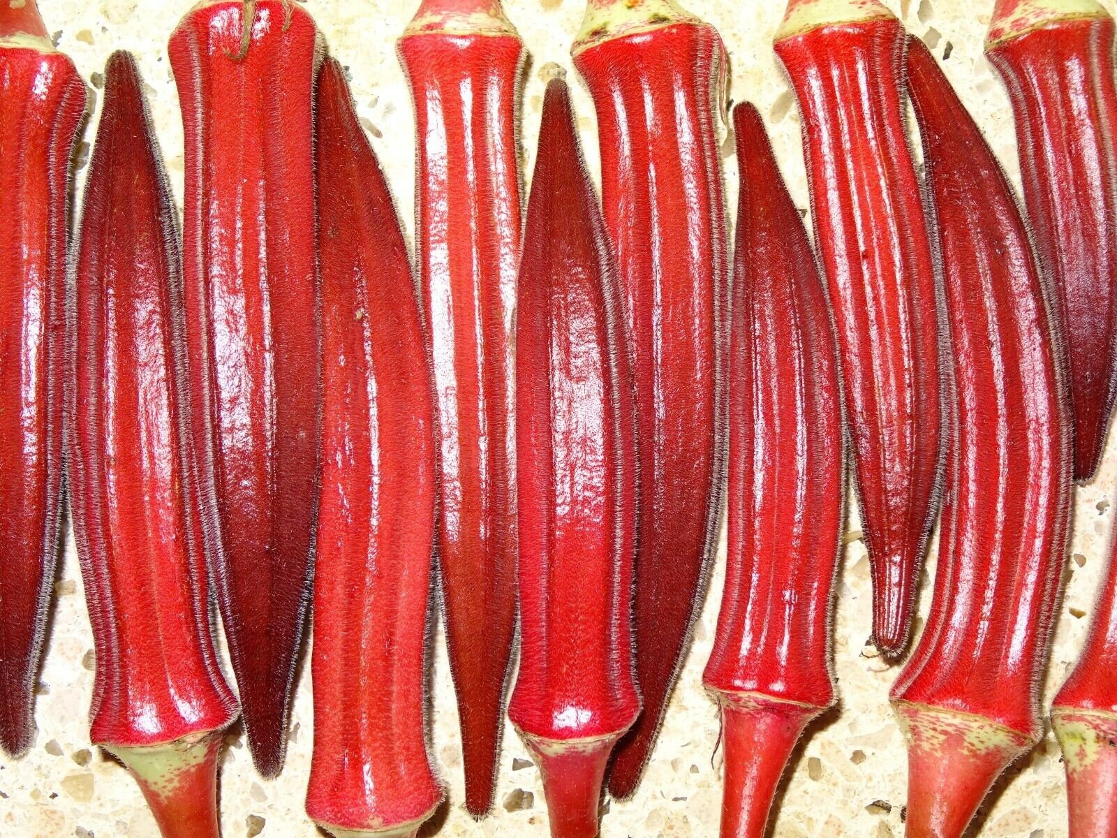 Jing Orange Okra Heirloom Seeds Etsy