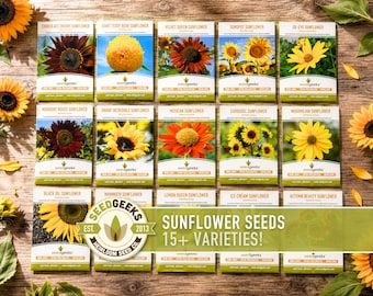 Sunflower Seeds | 20+ Heirloom Varieties, Cut Flowers, Colorful, Giant Dwarf Red Yellow Sunflowers, Pollinator