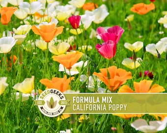 Heirloom California Poppy Seeds, Mixed Colors, Drought Tolerant
