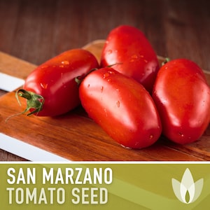San Marzano Tomato Heirloom Seeds - Paste Tomato, Indeterminate, Heirloom Tomato - Professional Packet with Full Growing Instructions