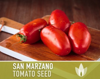 San Marzano Tomato Heirloom Seeds - Paste Tomato, Indeterminate, Heirloom Tomato - Professional Packet with Full Growing Instructions