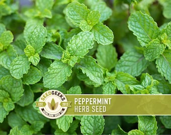 Puede incluir: Primer plano de hojas de hierba de menta verde vibrante. La imagen presenta una planta exuberante y saludable con hojas texturizadas. Un logotipo con el texto "Peppermint Herb Seed" es visible.