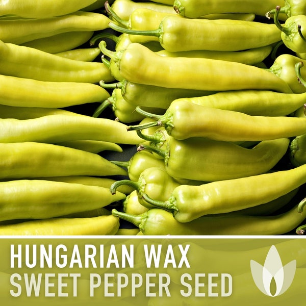 Hungarian Sweet Wax Pepper Heirloom Seeds - Yellow Pepper, Mexican Cuisine, Salsa Garden, Open Pollinated, Non-GMO