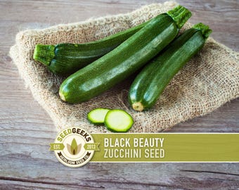 Graines Heirloom de courgette d'été de Black Beauty