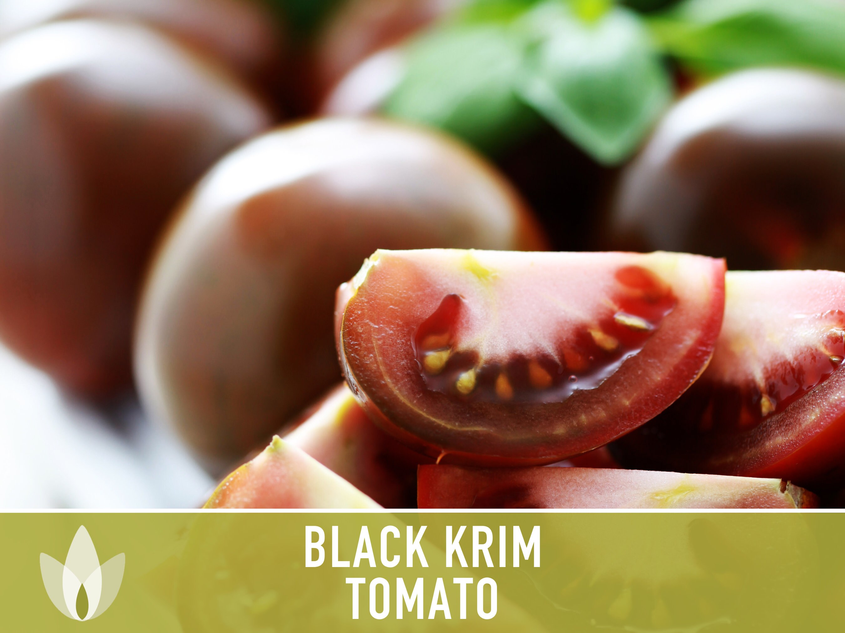 Tomato Black Krim Great Garden Heirloom Vegetable Seeds By Seed Kingdom (100 Seeds) : Vegetable Plants