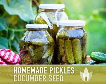 Homemade Pickles Cucumber Heirloom Seeds - Open Pollinated, Non-GMO