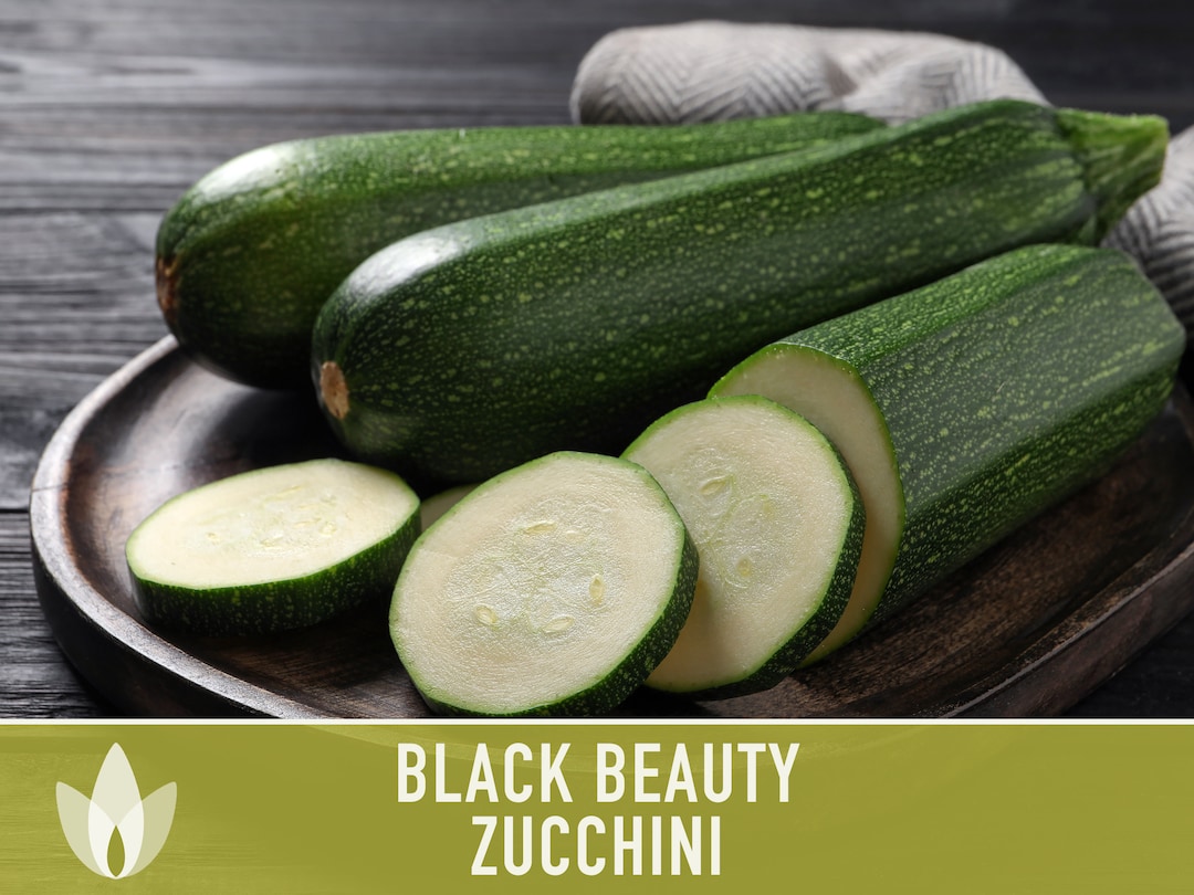 Black Beauty Squash