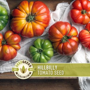 Hillbilly Tomato Seeds - Heirloom Beefsteak, Low Acid