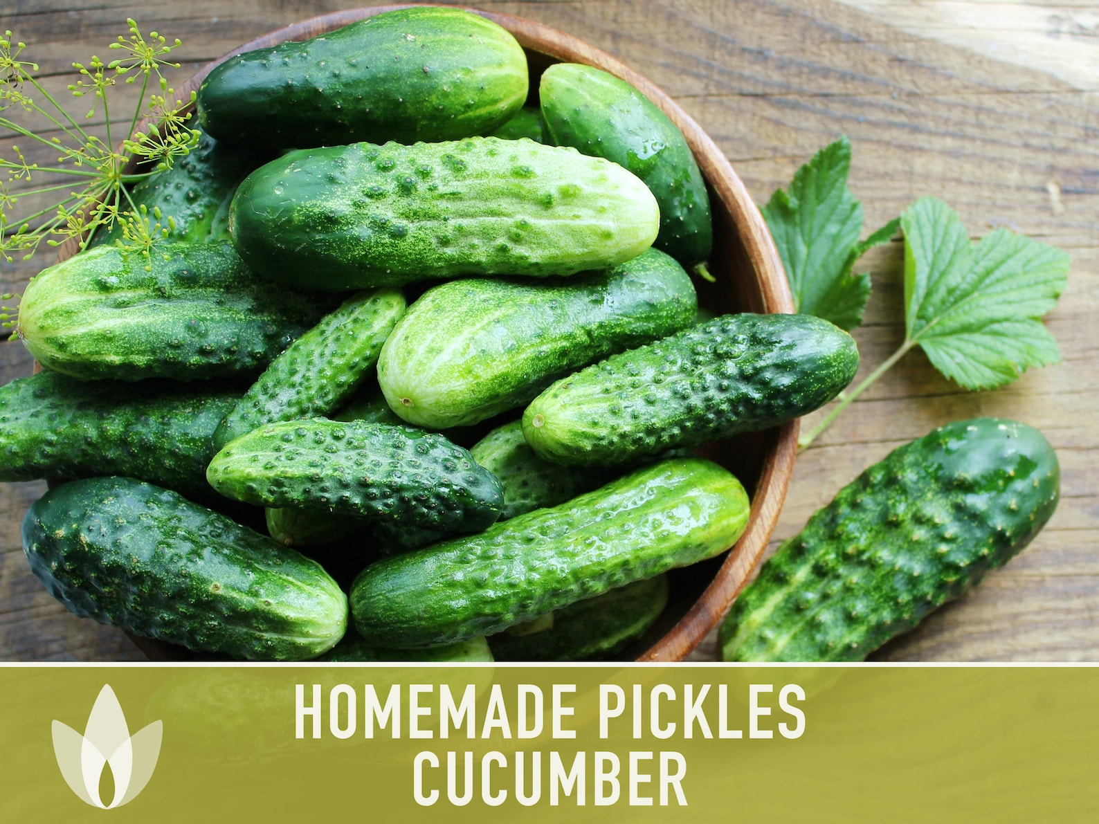 Homemade Pickles Cucumber Heirloom Seeds Open Pollinated, Non-gmo - Etsy