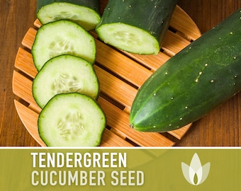 Tendergreen Burpless Cucumber Heirloom Seeds