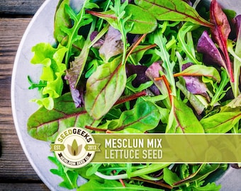 May include: A close-up of a bowl filled with fresh mesclun mix lettuce. The mix includes vibrant green, red, and purple leaves. The image also features the text "MESCLUN MIX LETTUCE SEED" and the Seed Geeks logo.