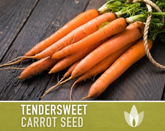 Tendersweet Carrot Heirloom Seeds - Seed Packets, Orange Carrot Seeds, Open Pollinated, Non-GMO