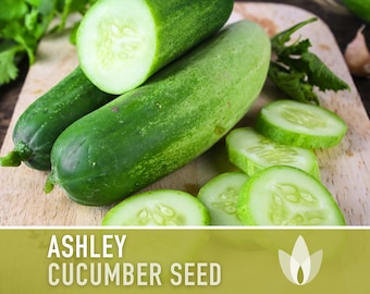 Ashley Cucumber Seeds - Heirloom Seeds, Slicing Cucumber, Loves Southern Heat, Disease Resistant, Early Cucumber, Open Pollinated, Non-GMO