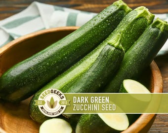 Dark Green Zucchini Heirloom Seeds