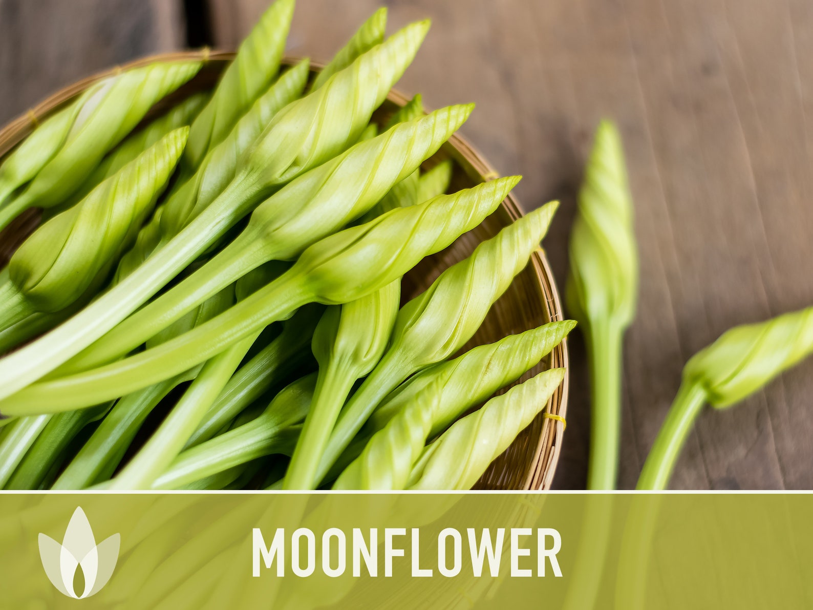 Moonflower Heirloom Flower Seeds Moon Vine Night Blooming Etsy