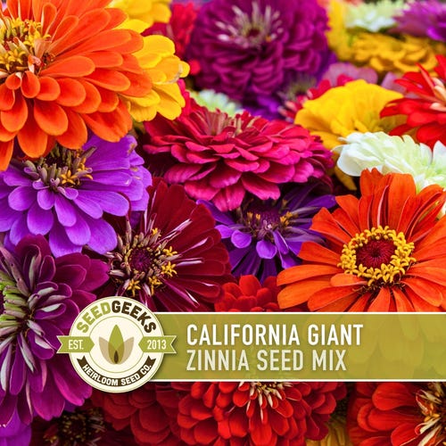 California Giant Zinnia Seed Mix | 100+ Seeds, Heirloom Flowers, Butterfly Garden, Zinnia elegans