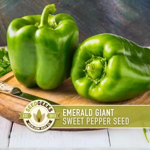 May include: Two vibrant green bell peppers sit on a wooden cutting board with a knife and fresh parsley. The image includes a logo that reads "SEED GEEKS" and the text "EMERALD GIANT SWEET PEPPER SEED".