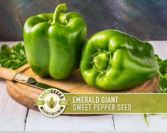 Emerald Giant Sweet Pepper Heirloom Seeds - Bell Pepper, Stuffed Peppers, Open Pollinated, Non-GMO