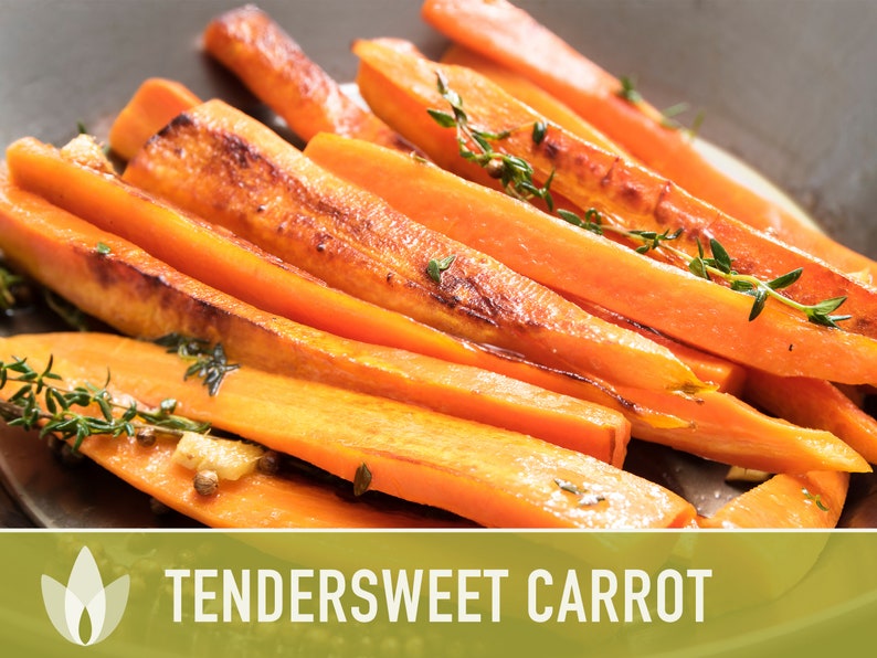 Tendersweet Carrot Heirloom Seeds Seed Packets, Orange Carrot Seeds, Juicing Carrot, Rainbow Carrot, Easy to Grow, Open Pollinated,Non-GMO image 2