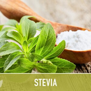 Stevia Seeds – Heirloom Sugar Leaf, Natural Sweetener (50 Seeds) image 4