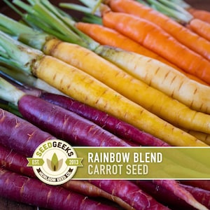 May include: A white ceramic mug with a black handle and the text "But First, Coffee" in a bold, black font. The mug is filled with a dark liquid, likely coffee, and sits on a light-colored surface.