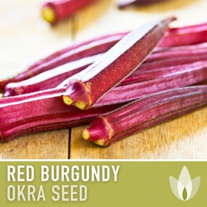 Red Burgundy Okra Heirloom Seeds