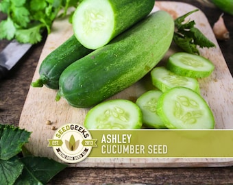 Ashley Cucumber Seeds - Southern Heat Tolerant, Disease Resistant