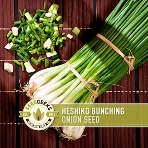 Heshiko Bunching Onion Seeds – Non-GMO Heirloom Variety