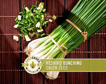 Heshiko Bunching Onion Seeds – Non-GMO Heirloom Variety