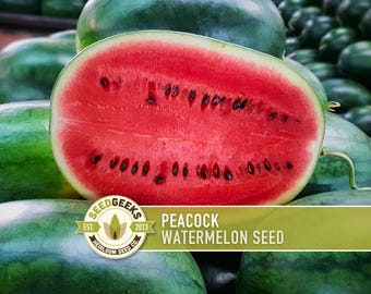Peacock Watermelon Seeds - Heirloom, Red-Orange Flesh