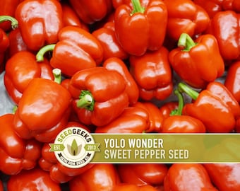 Yolo Wonder Sweet Bell Pepper Heirloom Seeds