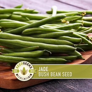 May include: Fresh green bush beans, piled on a wooden cutting board. The beans are a vibrant green color, and the image includes a logo that reads "Jade Bush Bean Seed" from Seed Geeks.