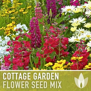 Cottage Garden Wildflower Seed Mix - Seed Packets, Heirloom Seeds, Flower Seeds, Non GMO, Open Pollinated, Antique Flowers