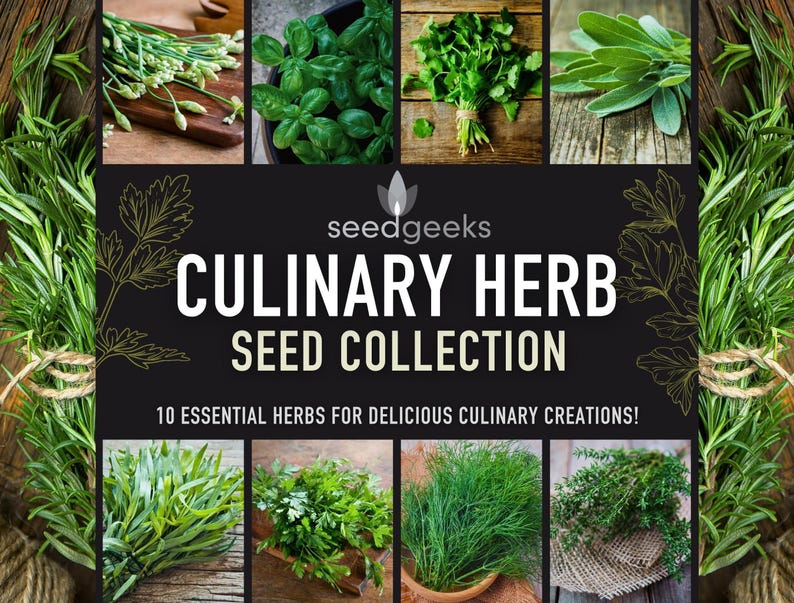 Culinary Herb Heirloom Seed Collection - 10 Non-GMO Varieties, Easy to grow 画像 1