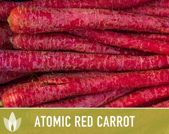 Buy Carrot Atomic Red Seeds | She Grows Veg