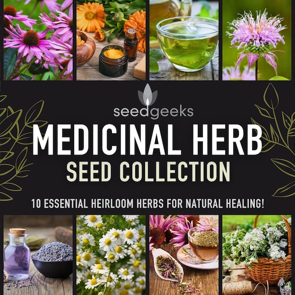 Heirloom Medicinal Herb Seed Collection - 10 Essential Varieties